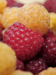 Preview wallpaper raspberry, berry, ripe, sweet