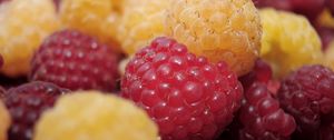 Preview wallpaper raspberry, berry, ripe, sweet