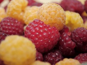 Preview wallpaper raspberry, berry, ripe, sweet