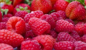 Preview wallpaper raspberry, berry, ripe, plenty