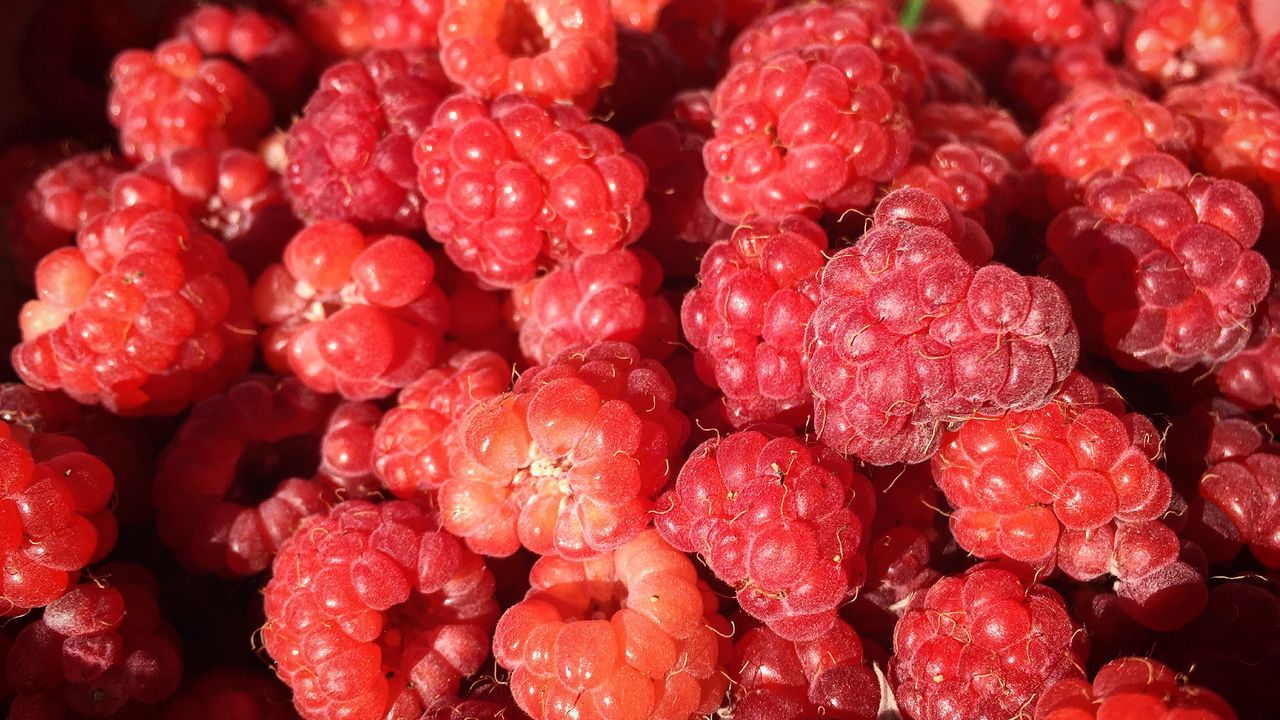 Wallpaper raspberry, berry, ripe, appetizing