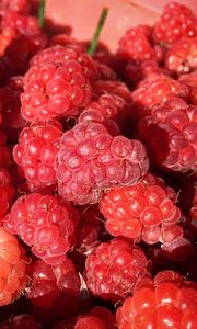 Preview wallpaper raspberry, berry, ripe, appetizing