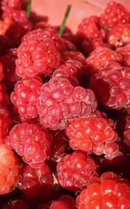 Preview wallpaper raspberry, berry, ripe, appetizing