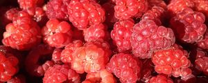 Preview wallpaper raspberry, berry, ripe, appetizing