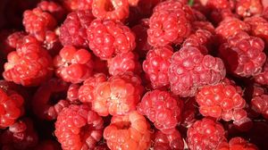 Preview wallpaper raspberry, berry, ripe, appetizing