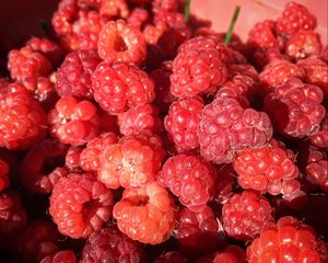 Preview wallpaper raspberry, berry, ripe, appetizing