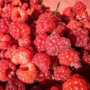 Preview wallpaper raspberry, berry, ripe, appetizing