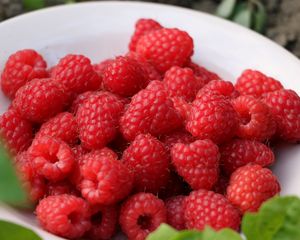 Preview wallpaper raspberry, berry, ripe, saucer, harvest
