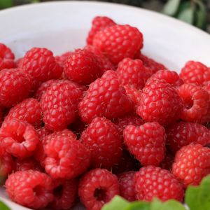 Preview wallpaper raspberry, berry, ripe, saucer, harvest