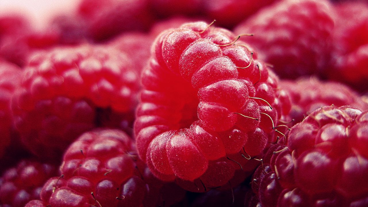 Wallpaper raspberry, berry, ripe, close-up