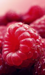 Preview wallpaper raspberry, berry, ripe, close-up