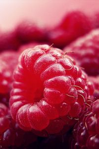 Preview wallpaper raspberry, berry, ripe, close-up