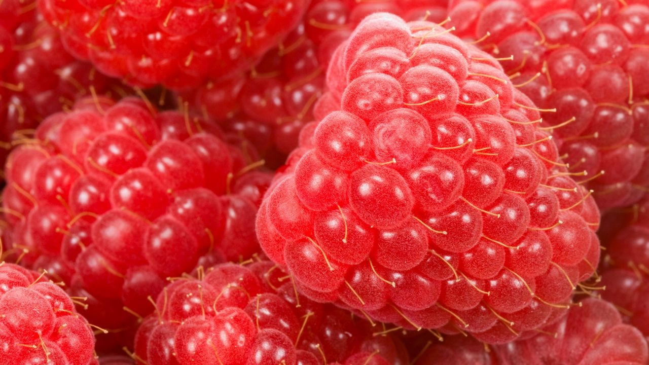 Wallpaper raspberry, berry, ripe