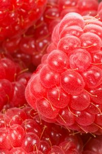 Preview wallpaper raspberry, berry, ripe