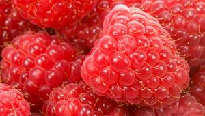 Preview wallpaper raspberry, berry, ripe