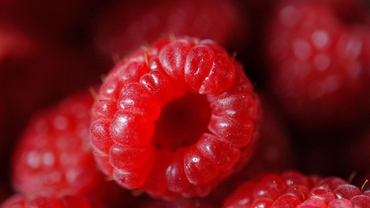 Wallpaper raspberry, berry, ripe, red, macro