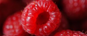 Preview wallpaper raspberry, berry, ripe, red, macro