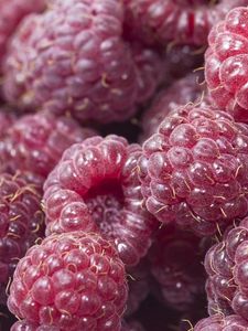 Preview wallpaper raspberry, berry, ripe