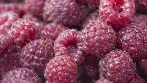 Preview wallpaper raspberry, berry, ripe