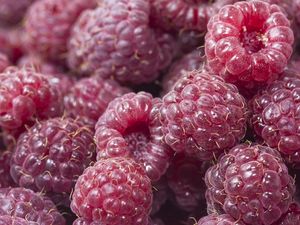 Preview wallpaper raspberry, berry, ripe