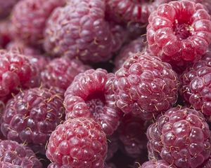 Preview wallpaper raspberry, berry, ripe