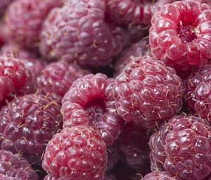 Preview wallpaper raspberry, berry, ripe