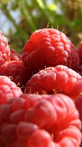 Preview wallpaper raspberry, berry, sweet, ripe