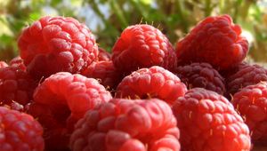 Preview wallpaper raspberry, berry, sweet, ripe