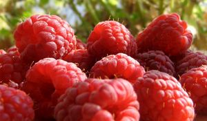 Preview wallpaper raspberry, berry, sweet, ripe