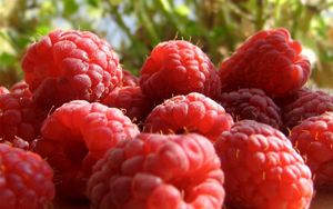 Preview wallpaper raspberry, berry, sweet, ripe