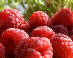 Preview wallpaper raspberry, berry, sweet, ripe