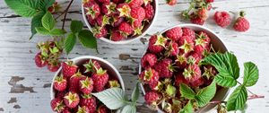 Preview wallpaper raspberry, bowl, fruit, table