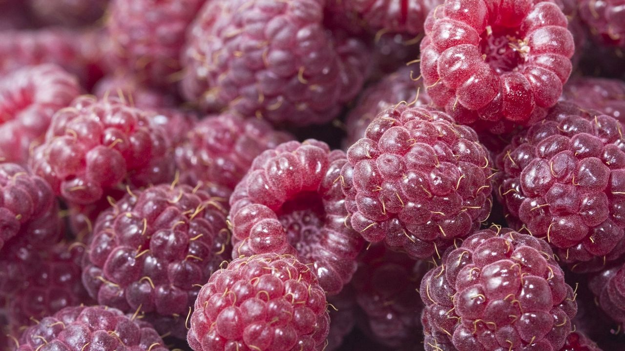 Wallpaper raspberry, food, berry, sweet, ripe
