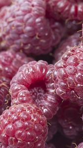 Preview wallpaper raspberry, food, berry, sweet, ripe