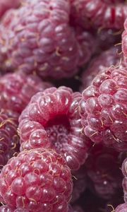 Preview wallpaper raspberry, food, berry, sweet, ripe