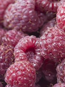 Preview wallpaper raspberry, food, berry, sweet, ripe