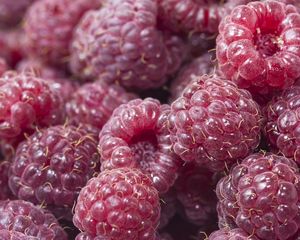 Preview wallpaper raspberry, food, berry, sweet, ripe