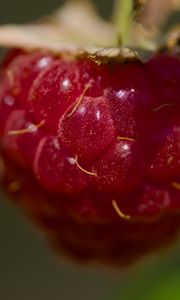Preview wallpaper raspberry, macro, berry, glare, red