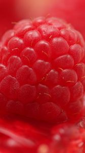 Preview wallpaper raspberry, macro, berry, red