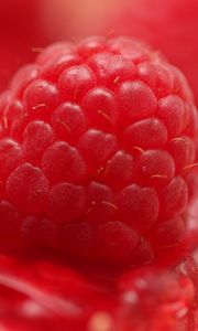 Preview wallpaper raspberry, macro, berry, red