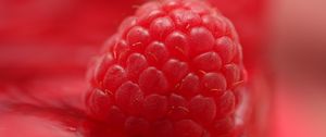 Preview wallpaper raspberry, macro, berry, red