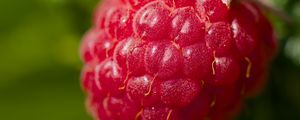 Preview wallpaper raspberry, red, macro, berry