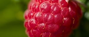 Preview wallpaper raspberry, red, macro, berry