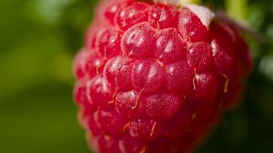 Preview wallpaper raspberry, red, macro, berry