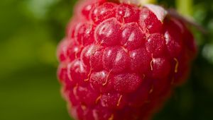 Preview wallpaper raspberry, red, macro, berry