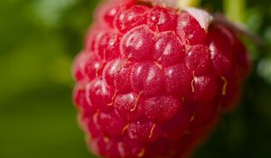 Preview wallpaper raspberry, red, macro, berry