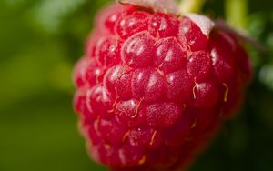 Preview wallpaper raspberry, red, macro, berry