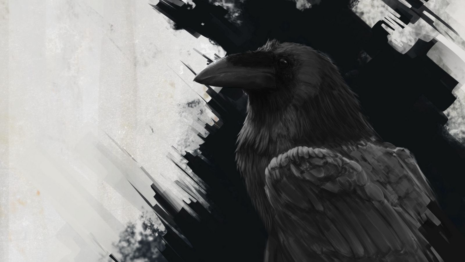 white raven wallpaper