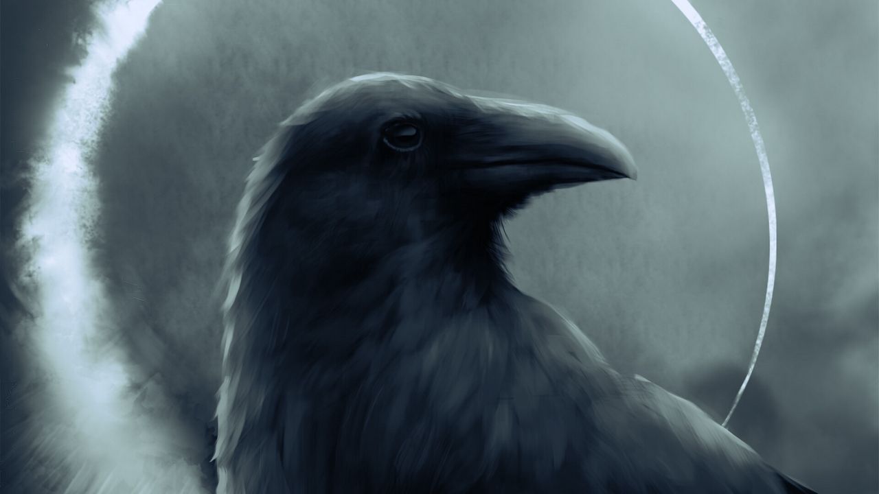 Raven Drawing Bird Anime Monochrome crow transparent background PNG  clipart  HiClipart
