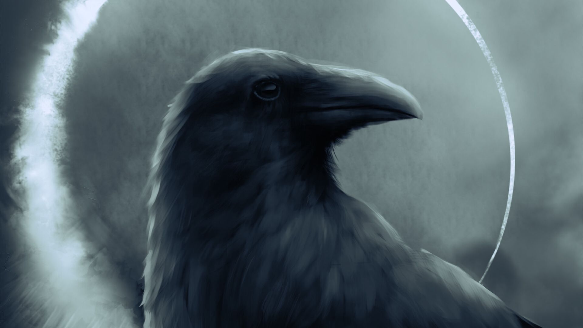 Raven 4K wallpapers for your desktop or mobile screen free and easy to  download
